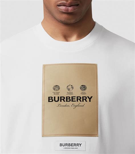 burberry tshirt herren bunt|Burberry her men's clothing.